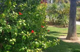 Port Aventura 5 min à pied - Superbe appartement - Foto 36