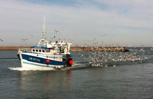 Charmante petite Villa sur Deauville Trouville-sur-Mer - Photo 36