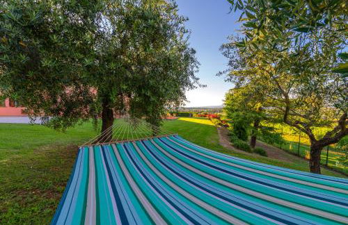 Scappo in Umbria, Mevania Villa - Foto 47