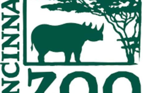 Cheerful 5 bedroom on azra with a pool and real - Foto 23