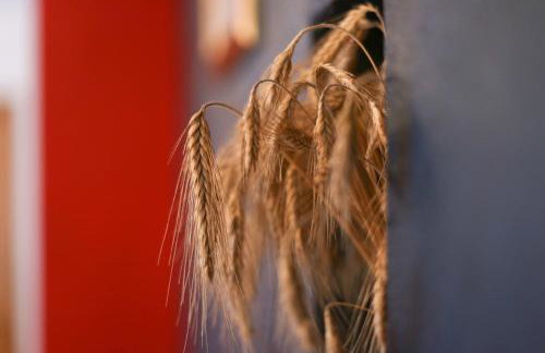 Gacka Valley - Foto 24