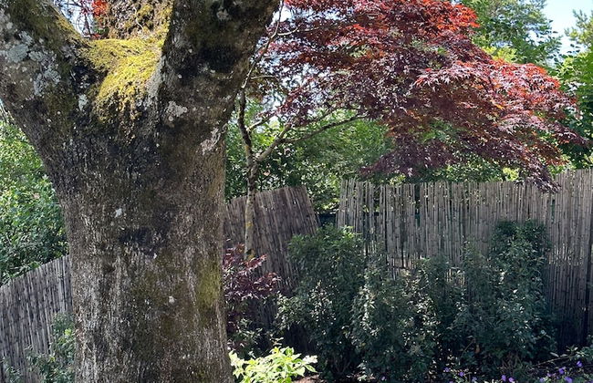 domaine du deven - Foto 39