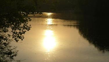 Feriendorf am Flämingbad Bungalow - Foto 2