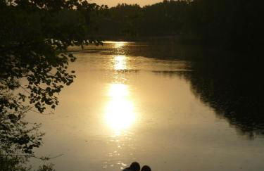 Feriendorf am Flämingbad Bungalow - Foto 2