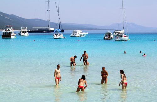 Apartments with parking space Sali, Dugi otok - 8154 - Foto 34