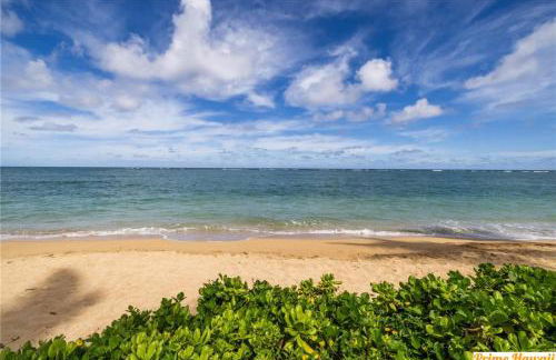 Ground Level Beachfront Studio - Photo 18