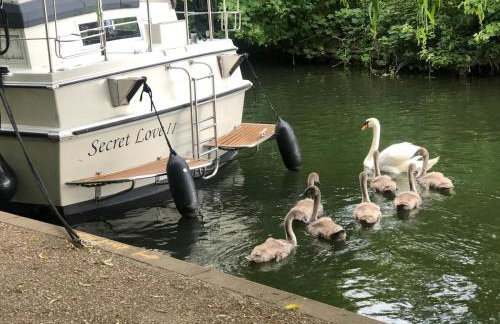 Floating tranquility - Foto 13