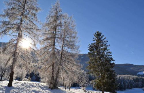 Apartment Lukas Huber - Foto 10