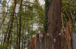 Ferienhaus Rötzer - Forsthausschmankerl mit Sauna, Whirlpool und Grill - Foto 25