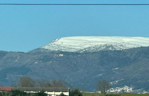 Sofiamarholidays O Cantinho da Avó Bina - Foto 68