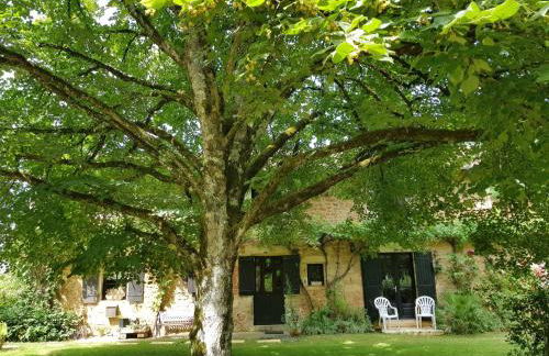 Spacious farmhouse with private heated pool in a rustic garden - Foto 75