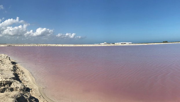 LAS COLORADAS & RIO LAGARTOS de la Riviera Maya et de Cancun (Privé) - Photo 5
