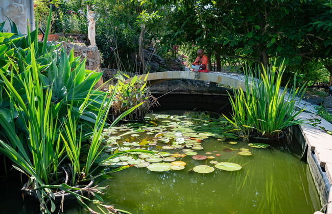 Campestra - Photo 20