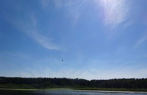 Ferienanlage Waschbär Country - Photo 46