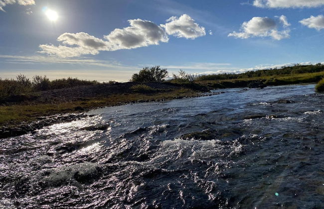 Álftártunga farm guesthouse - Foto 76