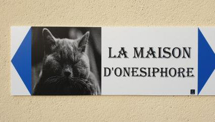 La Maison d'Onésiphore - Foto 2