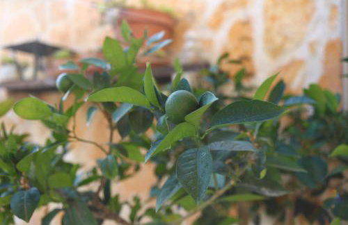 Provence Apartments - Foto 19