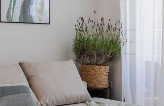 Villa Medellin - Foto 77