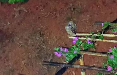 Studio Flat Casal com ar condicionado - Foto 17