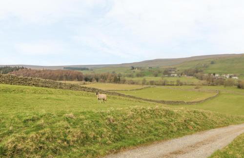 Meadows Edge - Photo 24