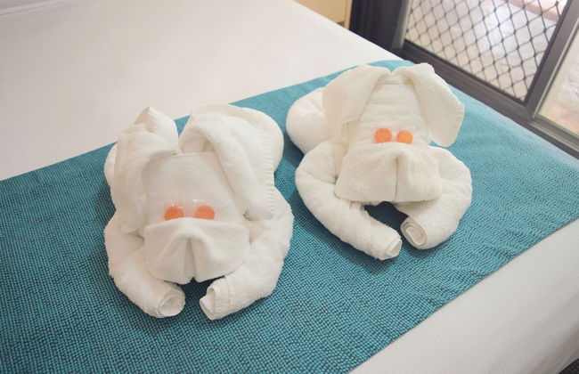 Coconut Grove Holiday Apartments - Foto 19