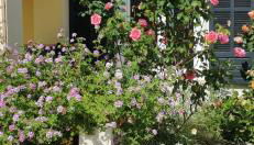 Appartement entre mer et montagne avec beau jardin - Foto 4