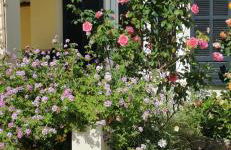 Appartement entre mer et montagne avec beau jardin - Foto 4