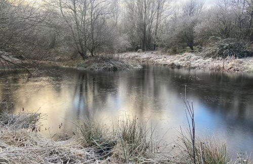 Beautiful Listed Mansion with incredible woodland views - Photo 68