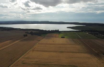 "Lawendowe Wzgórze" - Foto 8