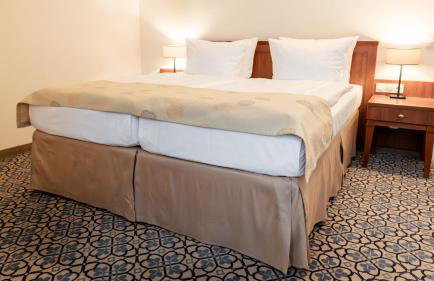 Hotel Rosenpark - Foto 37