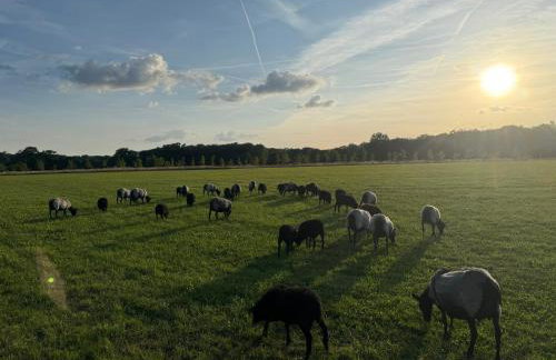 Hof König - Foto 16