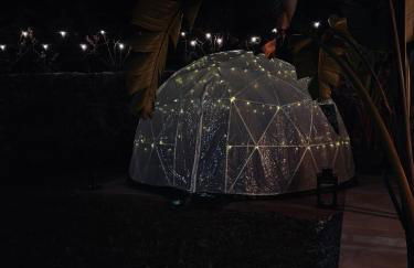 Streliciahouse - Foto 14