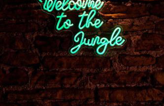 The Jungle! House with Hot Tub. - Foto 3