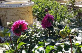 Studio Apartments Eirini - Foto 18