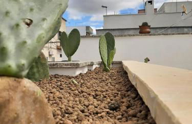 Bianco Antico Salento - Foto 35