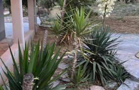 Maslina House - Photo 9