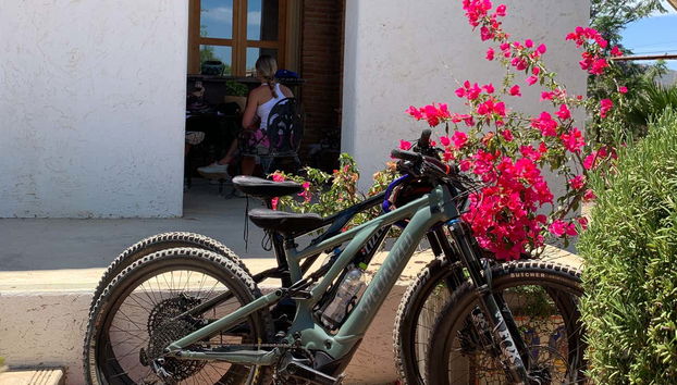 The bikes parked outside the winery
