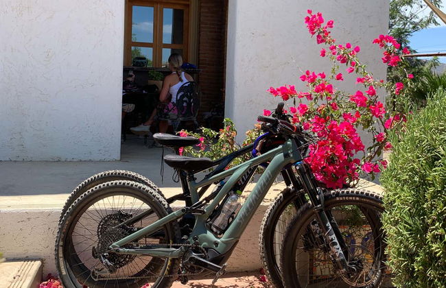 Guadalupe Valley Vineyards Bike Tour - Photo 5