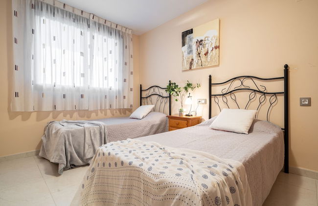 Alea Rentals - Maldivas - Photo 17