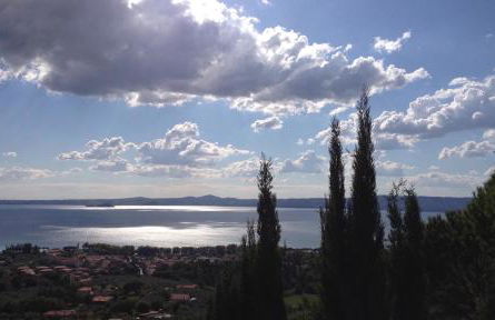 Podere Porcino - Foto 25