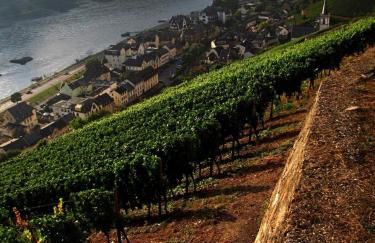 Auszeit Rheingauer Rosengasse - Foto 34