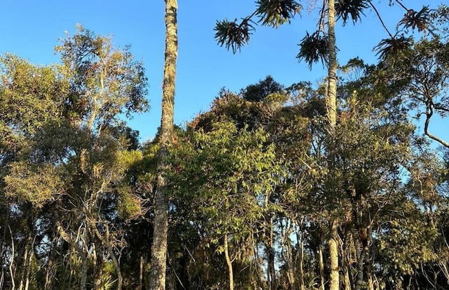 Campos do Jordão Chalés - Foto 8