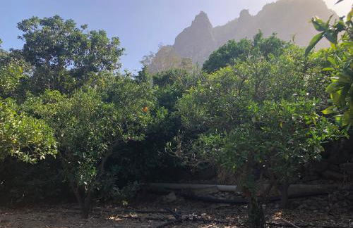 Casa Camino Tamadaba - Foto 49