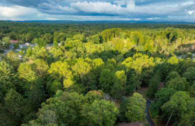 Horseshoe Acres - Home theater, spa room, hot tub - Foto 52