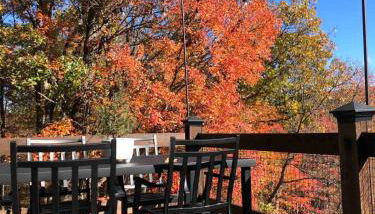 Cozy Historic Cabin with stellar view of Big Schloss - Foto 4