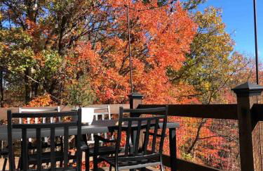 Cozy Historic Cabin with stellar view of Big Schloss - Foto 4