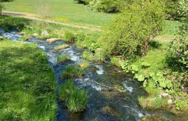 Ferienwohnung Mohr - Foto 24