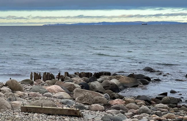 6 Person Holiday Home in Hornbaek - Photo 31