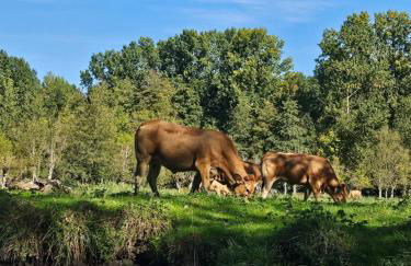 Appartement dans Château exceptionnel - Foto 32