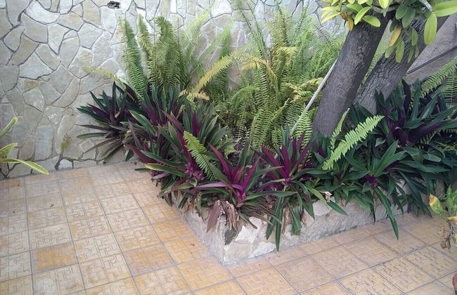 Villa in Holguin with garden and terrace - Foto 22